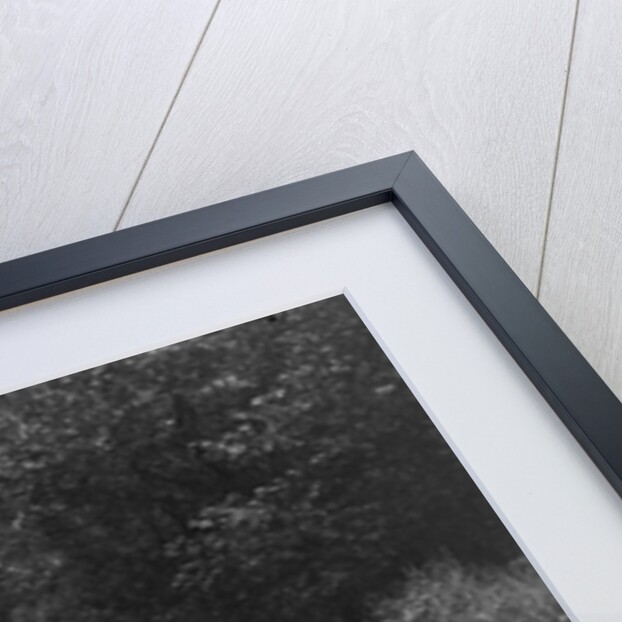 MG PA of JM Toulmin and Frazer-Nash TT replica, 1930s by Bill Brunell