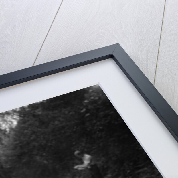 1934 Singer Le Mans of the Candidi Provocatores team taking part in a motoring trial, late 1930s by Bill Brunell