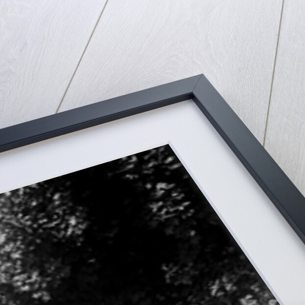 1934 Singer Le Mans taking part in a West Hants Light Car Club Trial, Ibberton Hill, Dorset, 1930s by Bill Brunell