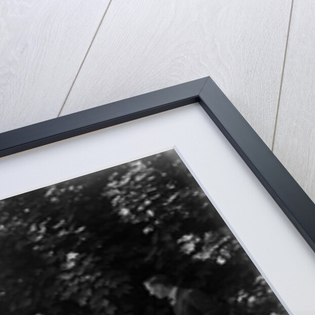 Triumph 2-seater taking part in a West Hants Light Car Club Trial, Ibberton Hill, Dorset, 1930s by Bill Brunell
