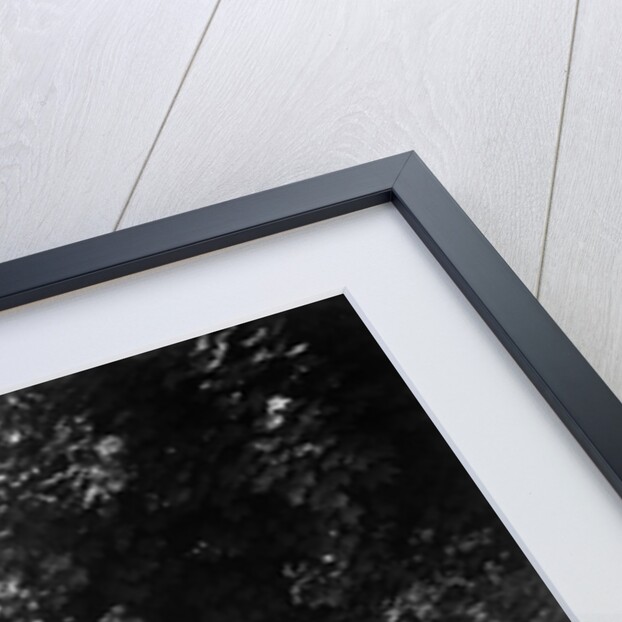 1933 MG J1 taking part in a West Hants Light Car Club Trial, Ibberton Hill, Dorset, 1930s by Bill Brunell