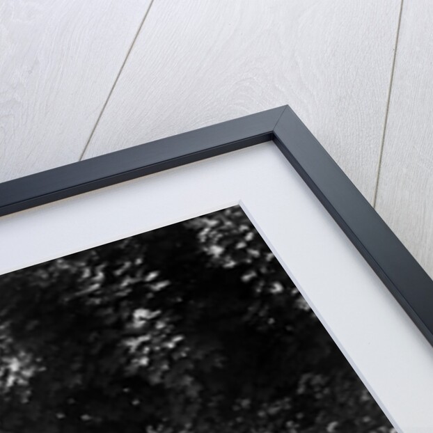 Riley 4-seat tourer taking part in a West Hants Light Car Club Trial, Ibberton Hill, Dorset, 1930s by Bill Brunell