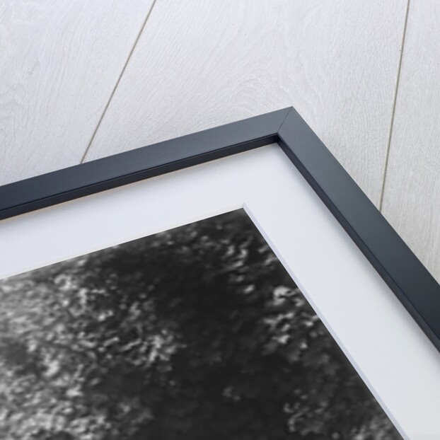 1934 Austin Ten taking part in a West Hants Light Car Club Trial, Ibberton Hill, Dorset, 1930s by Bill Brunell