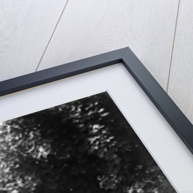 1934 Riley Kestrel taking part in a West Hants Light Car Club Trial, Ibberton Hill, Dorset, 1930s by Bill Brunell