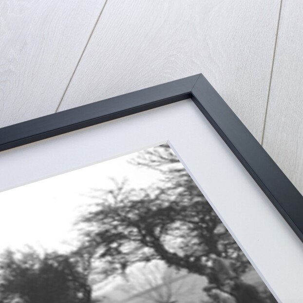 Riley of C Beddow at the Sunbac Colmore Trial, near Winchcombe, Gloucestershire, 1934 by Bill Brunell