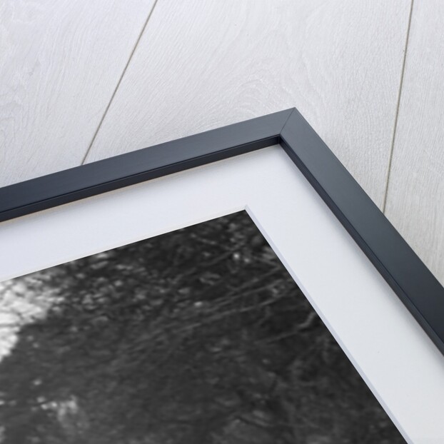 MG Magna of AJV Merritt at the Sunbac Colmore Trial, near Winchcombe, Gloucestershire, 1934 by Bill Brunell