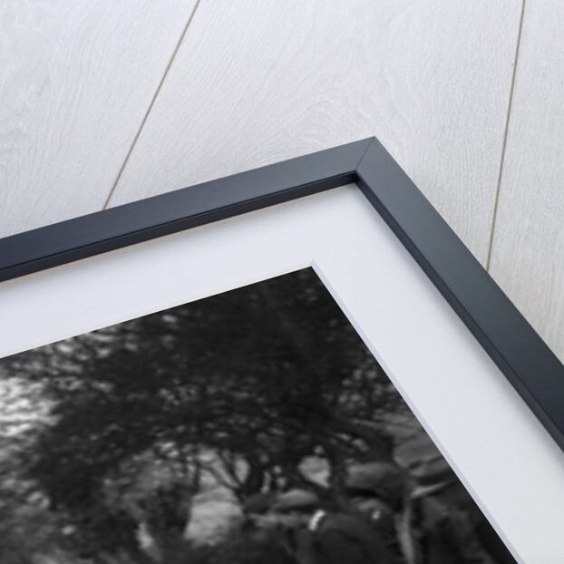Wolseley Hornet of AK Hunt at the Sunbac Colmore Trial, near Winchcombe, Gloucestershire, 1934 by Bill Brunell
