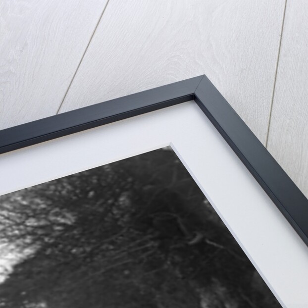 Standard Avon of J Priestly at the Sunbac Colmore Trial, near Winchcombe, Gloucestershire, 1934 by Bill Brunell