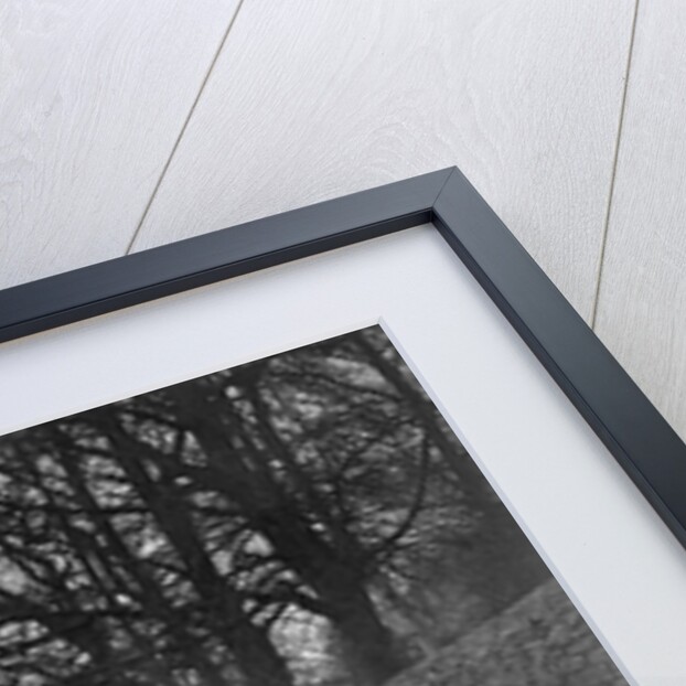 Wolseley Hornet of HK Crawford on Nailsworth Ladder, Sunbac Colmore Trial, Gloucestershire, 1934 by Bill Brunell