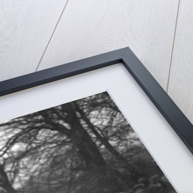 Triumph of RL Bellamy climbing Nailsworth Ladder, Sunbac Colmore Trial, Gloucestershire, 1934 by Bill Brunell