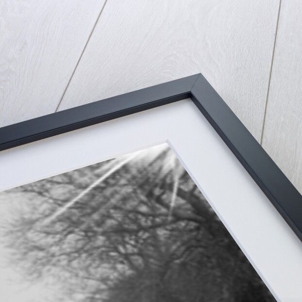 Frazer-Nash Boulogne of RS Langford, Sunbac Colmore Trial, near Winchcombe, Gloucestershire, 1934 by Bill Brunell