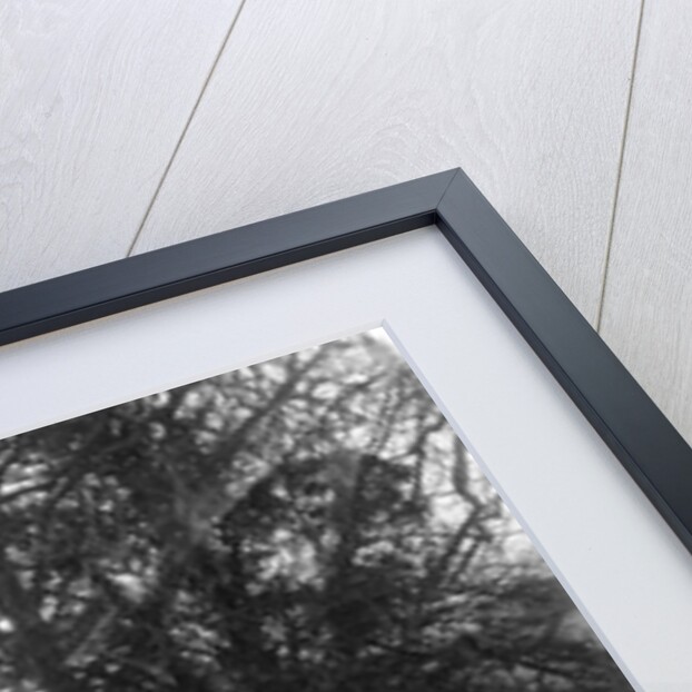 Austin Ulster of HG Conway at the Sunbac Colmore Trial, near Winchcombe, Gloucestershire, 1934 by Bill Brunell