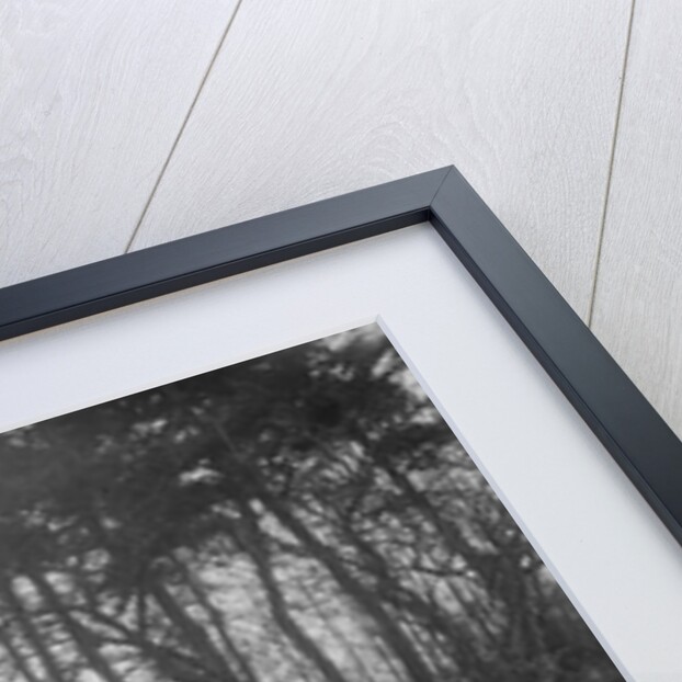 MG J2 of Bernard Bray at the Sunbac Colmore Trial, near Winchcombe, Gloucestershire, 1934 by Bill Brunell