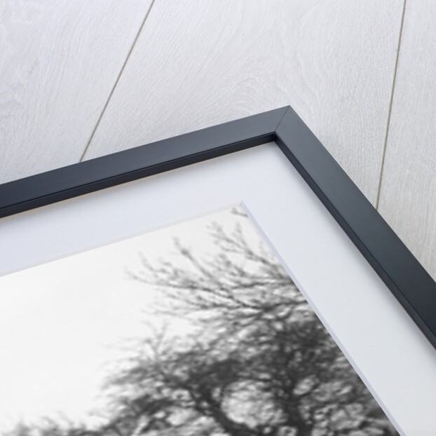 Wolseley of LL Hunt at the Sunbac Colmore Trial, near Winchcombe, Gloucestershire, 1934 by Bill Brunell