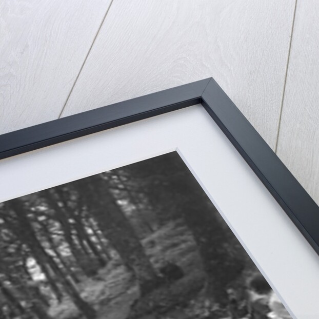 Morris Minor taking part in the B&HMC Brighton-Beer Trial, Fingle Bridge Hill, Devon, 1934 by Bill Brunell
