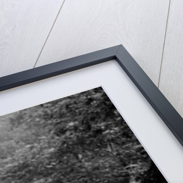 MG J2 taking part in the B&HMC Brighton-Beer Trial, Fingle Bridge Hill, Devon, 1934 by Bill Brunell