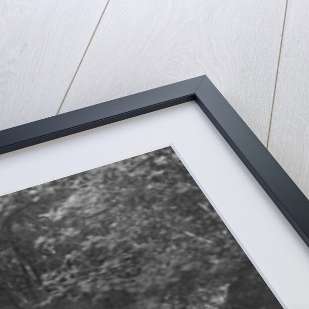 MG J2 competing in the Brighton & Hove Motor Club Brighton-Beer Trial, 1934 by Bill Brunell