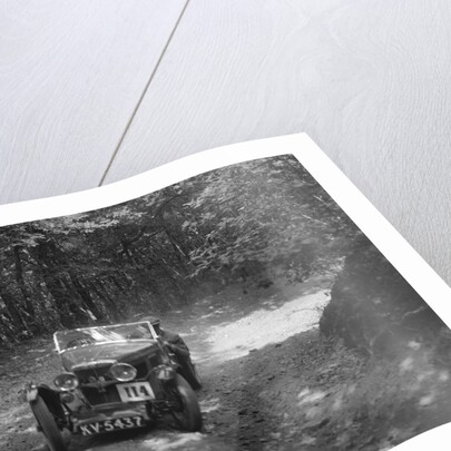 MG J2 competing in the Brighton & Hove Motor Club Brighton-Beer Trial, 1934 by Bill Brunell