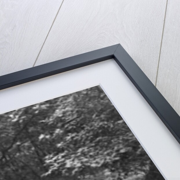 Frazer-Nash competing in the Brighton & Hove Motor Club Brighton-Beer Trial, 1934 by Bill Brunell