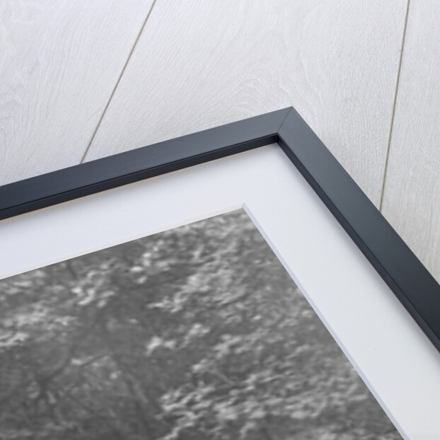 MG J2 competing in the B&HMC Brighton-Beer Trial, Fingle Bridge Hill, Devon, 1934 by Bill Brunell