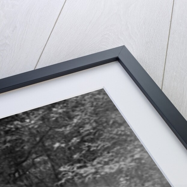 Singer coupe competing in the B&HMC Brighton-Beer Trial, Fingle Bridge Hill, Devon, 1934 by Bill Brunell
