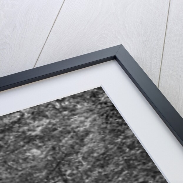 Crossley of CR Simnett competing in the B&HMC Brighton-Beer Trial, Fingle Bridge Hill, Devon, 1934 by Bill Brunell