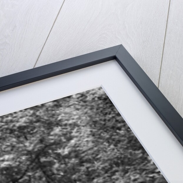 Windsor of CC Bliss competing in the B&HMC Brighton-Beer Trial, Fingle Bridge Hill, Devon, 1934 by Bill Brunell