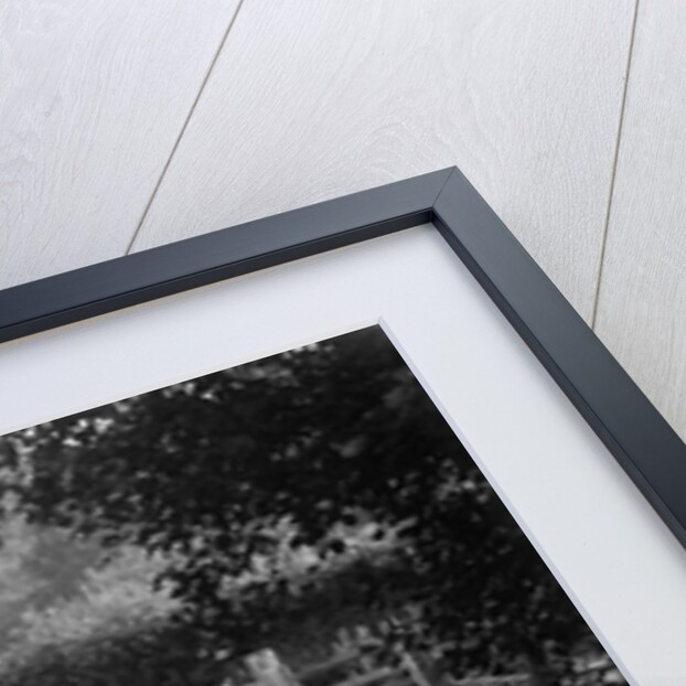 MG PA of RA MacDermid, B&HMC Brighton-Beer Trial, Windout Lane, near Dunsford, Devon, 1934 by Bill Brunell