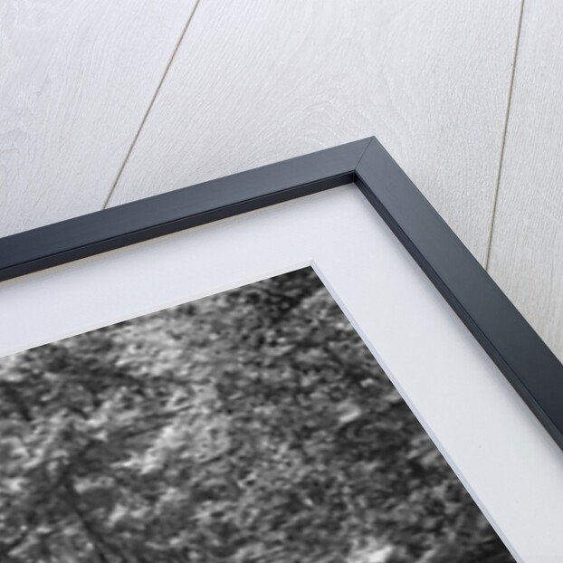 MG J2 competing in the B&HMC Brighton-Beer Trial, Fingle Bridge Hill, Devon, 1934 by Bill Brunell