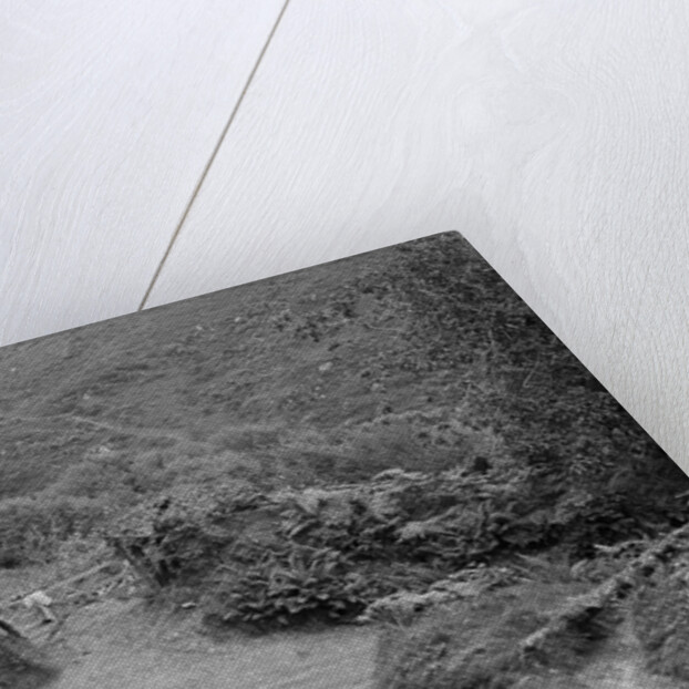 1934 Triumph taking part in a motoring trial in Devon, late 1930s by Bill Brunell