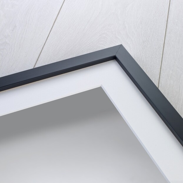 1984 Rover SD1 Police Car by Unknown