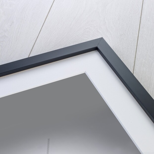 2007 Renault Clio by Unknown