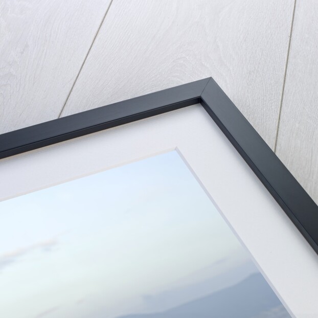 2003 Ferrari Enzo by Unknown