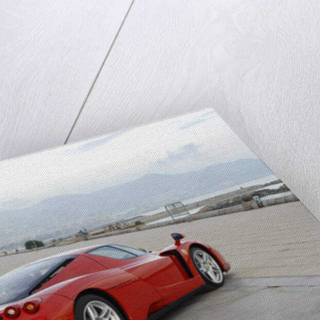 2003 Ferrari Enzo by Unknown