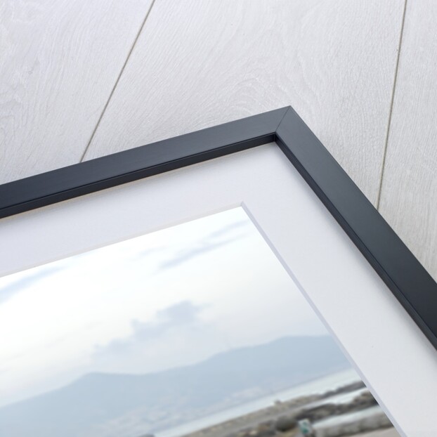 2003 Ferrari Enzo by Unknown