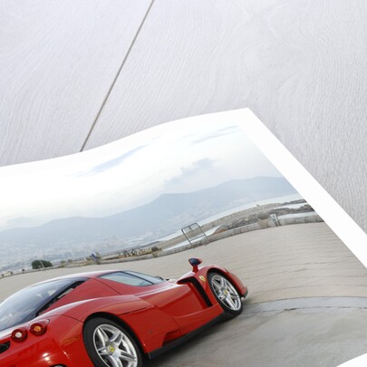 2003 Ferrari Enzo by Unknown