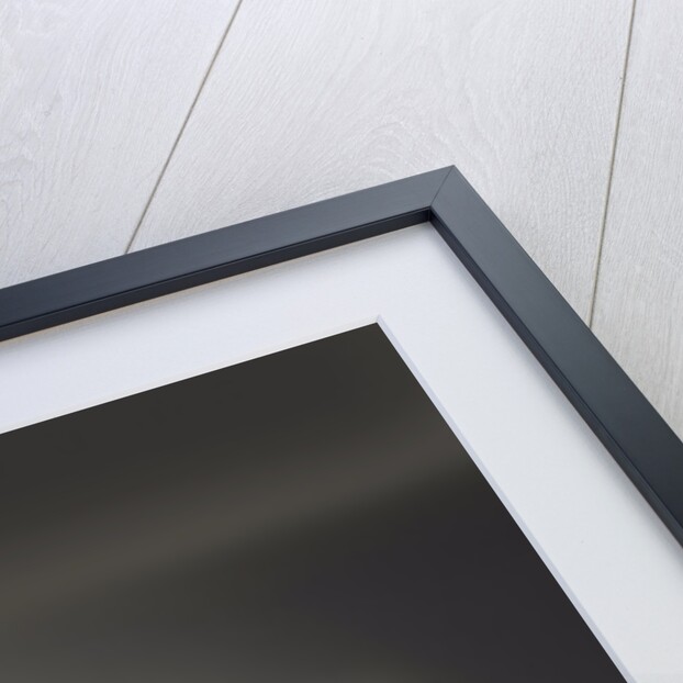 Customised Morris Minor Van by Unknown