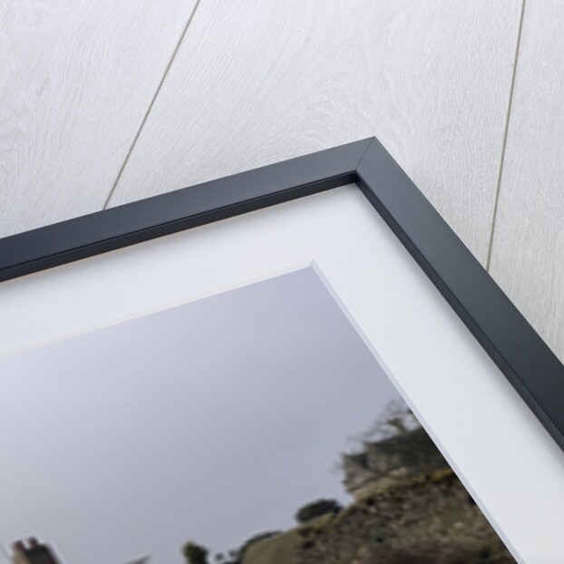 Floods at Beaulieu 2008 by Unknown