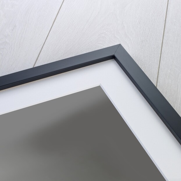 1983 Bentley Mulsanne - Mentley Insanne Custom Car by Unknown