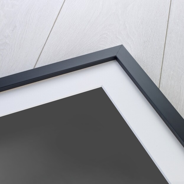 1964 Jaguar Mk 2 3.8 by Unknown