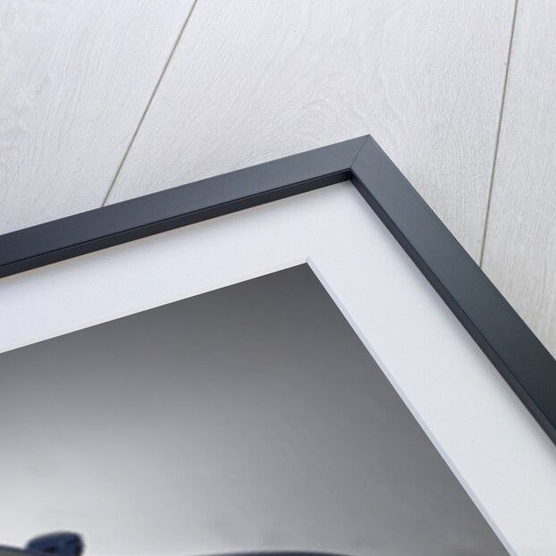 2006 Alfa Romeo Spider by Unknown