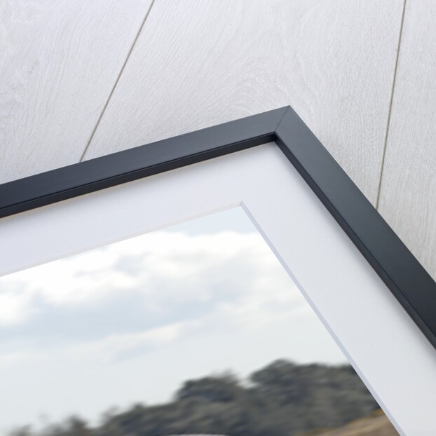 2007 Alfa Romeo Brera by Unknown