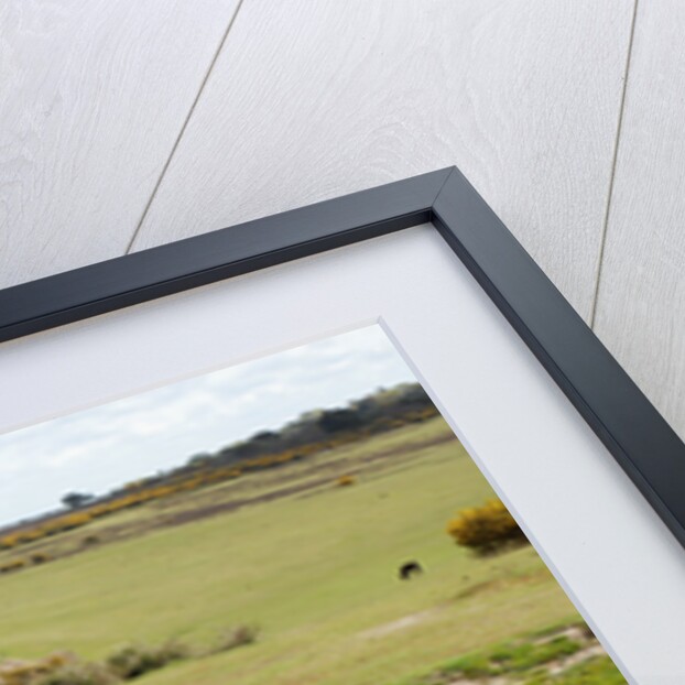 2008 Mazda MX5 Roadster Coupe by Unknown