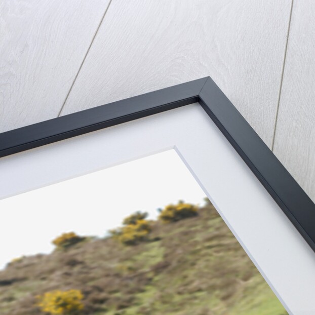 2008 Mazda MX5 Roadster Coupe by Unknown