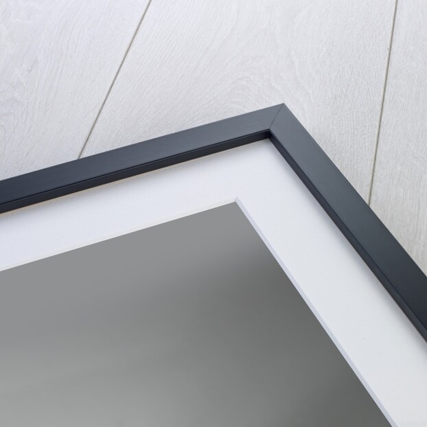 1991 AC Cobra by Unknown