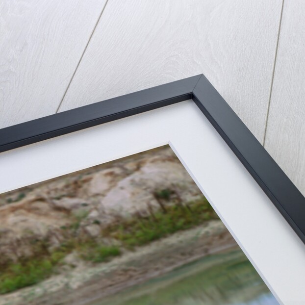 1958 Chevrolet Biscayne by Unknown