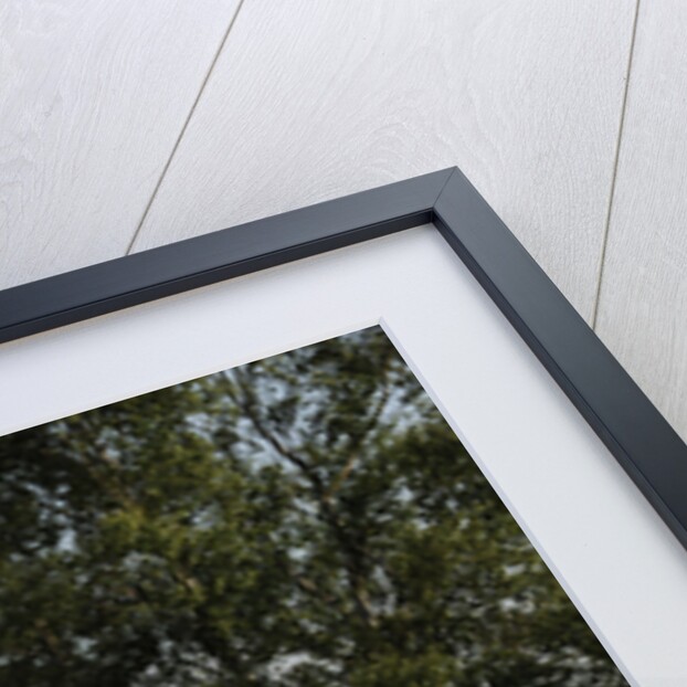 2008 Skoda Superb by Unknown