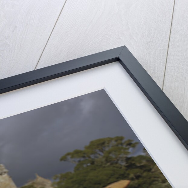 1909 Rolls Royce Silver Ghost by Unknown