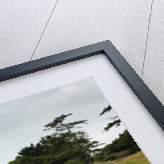 2006 Seat Toledo by Unknown