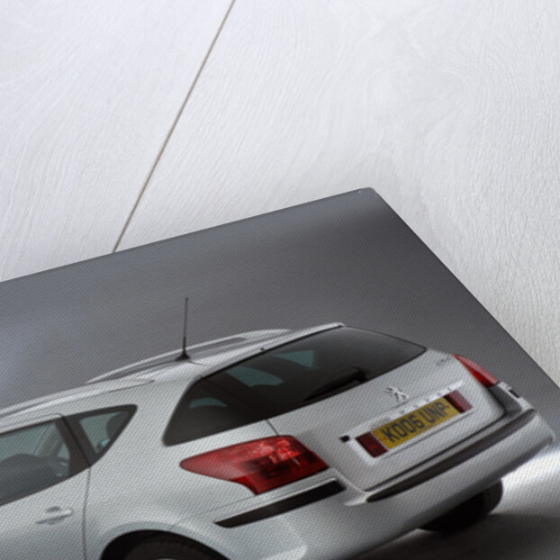 2006 Peugeot 407 SW by Unknown